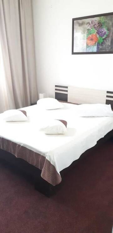 Фото номера Полулюкс Отель Hotel Panoramic г. Рымнику-Вылча 4