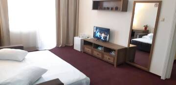 Фото номера Полулюкс Отель Hotel Panoramic г. Рымнику-Вылча 9